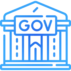 Government
